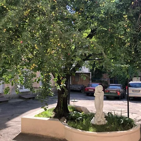 Botanical Buddha на маразлиевской возле парка шевченко и пляжа ланжерон Одесса